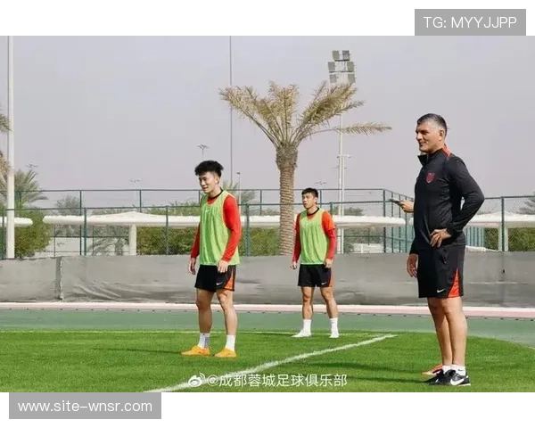 蓉城新帅阿洛伊西战术改革 亚冠四后卫体系适应性观察